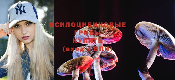 спайс Вязьма